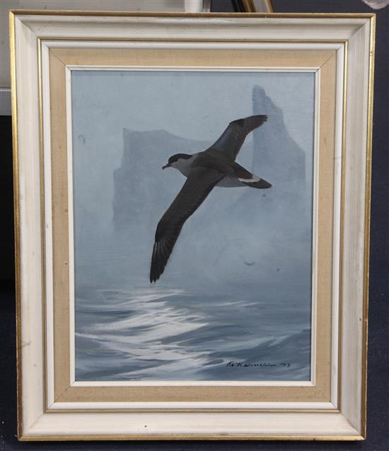 § Keith Shackleton (1923-2015) Iceberg, Mist and Shearwater: Cape Farewell 17.5 x 13.5in.